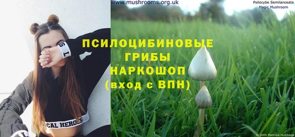 гидропоника Володарск