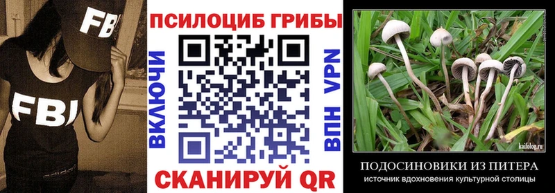 Псилоцибиновые грибы Cubensis  Купить где  Семикаракорск 